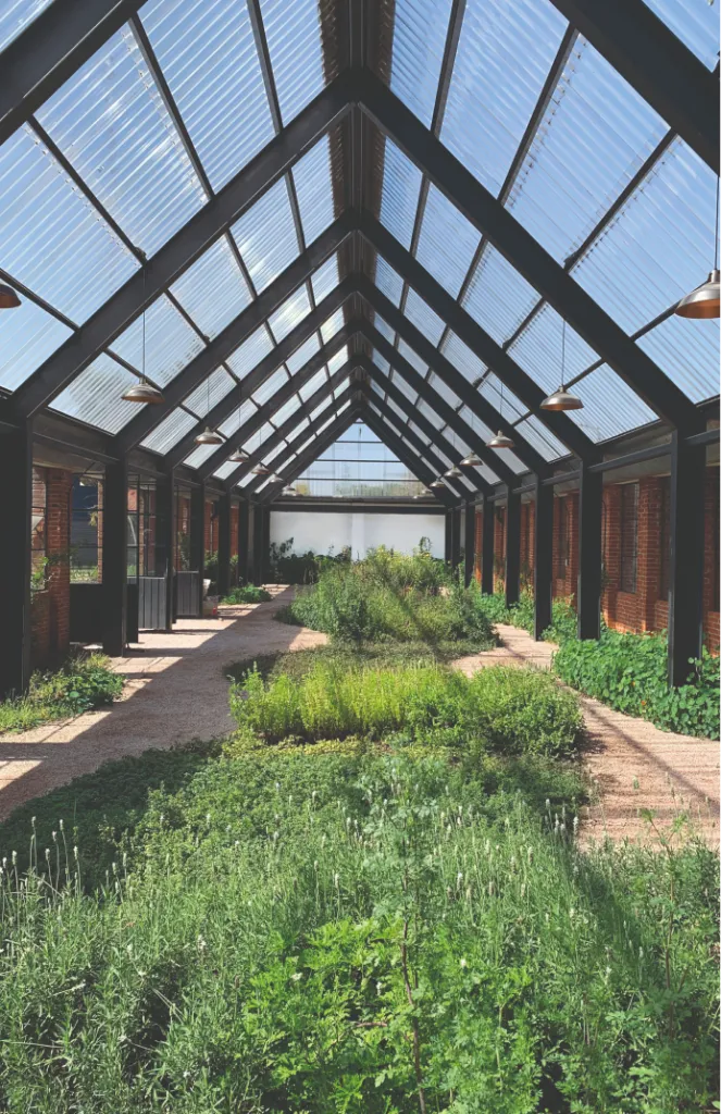 XVII National Mexican Architecture Biennial (XVII BNAMX) – Silver Medal